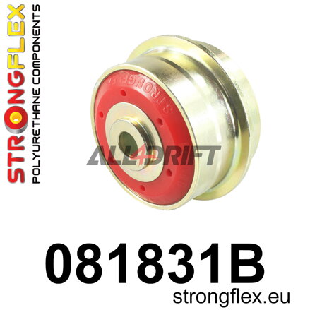 081831B: Gummilager für Hinterachslängslenker - Honda VII (02-08) Tourer CM