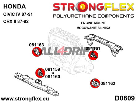 081160A Motorlager-Einsätze vorne SPORT Honda Civic / CRX / Concerto