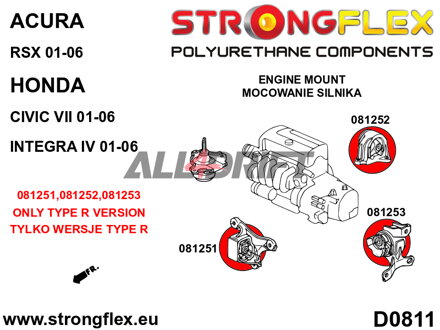 081252A SPORT Motorlager-Einsätze hinten - Acura RSX (01-06) DC5